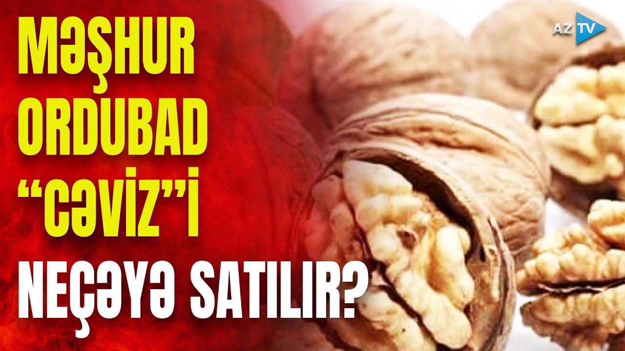 Bu qoz növünün içi nə üçün ağ olur? – Ordubad “CƏVİZ”i görün neçəyə satılır