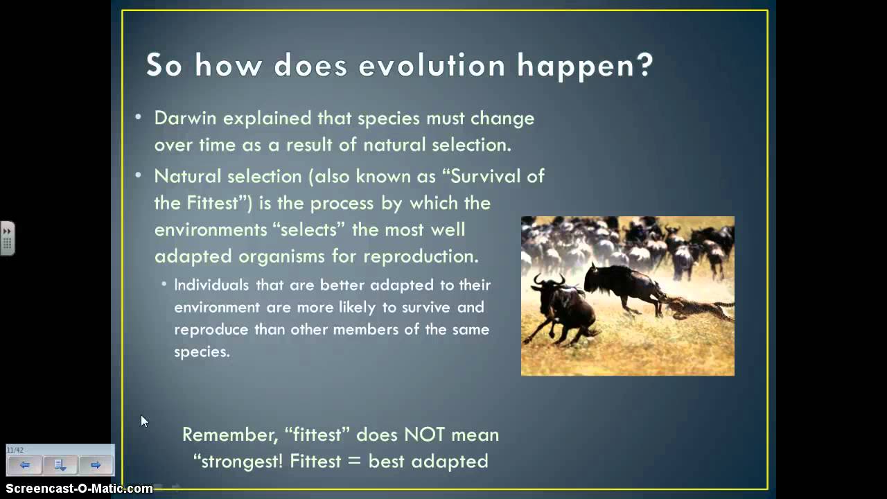 Mechanisms of Evolution 2014
