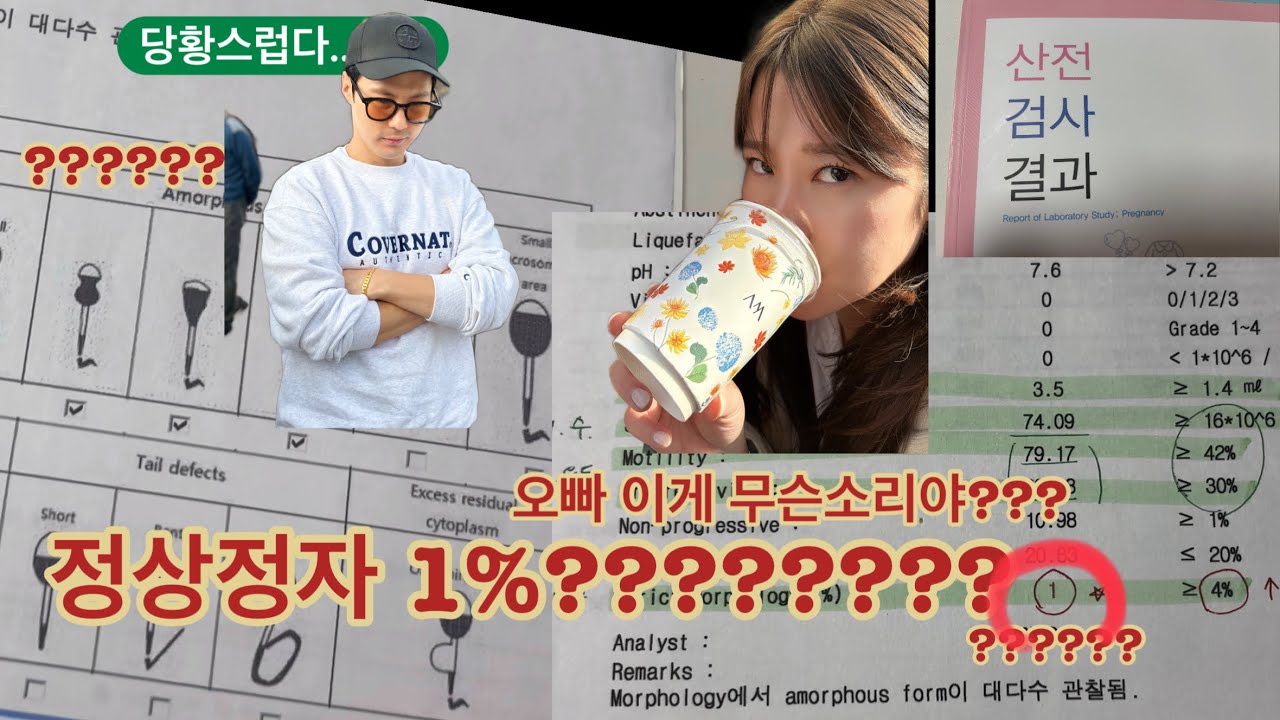 (시험관vlog) 유산, 난임병원,나팔관조영술까지 💉 정상정자1%??? 우리가 난임이 된 이유..🤫시험관을 시작해야할까?