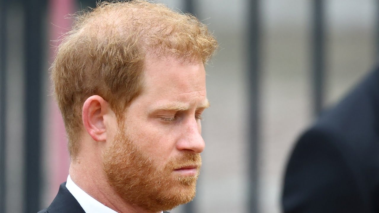 Prince Harry labelled a ‘glorified house husband’ for ‘not doing anything’ with his life