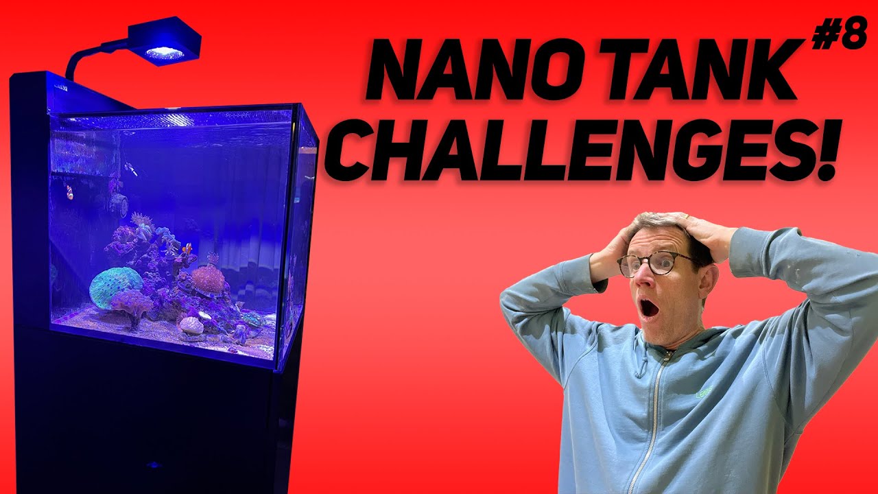 Red Sea Max Nano Peninsula: This hobby drives you mad