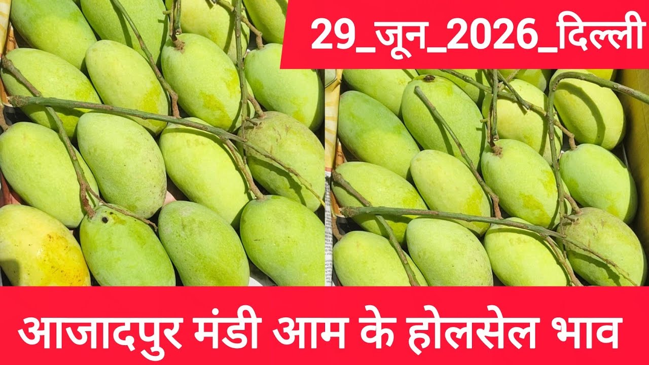 29 June 2026 दिल्ली 🥭 आम का भाव Azadpur Delhi Mandi Today Mango Market Price Aam Ka Aaj Ka Rate