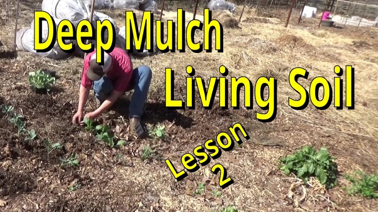 Deep Mulch Gardening, Lesson 2, Life In The Soil 3-3-2024