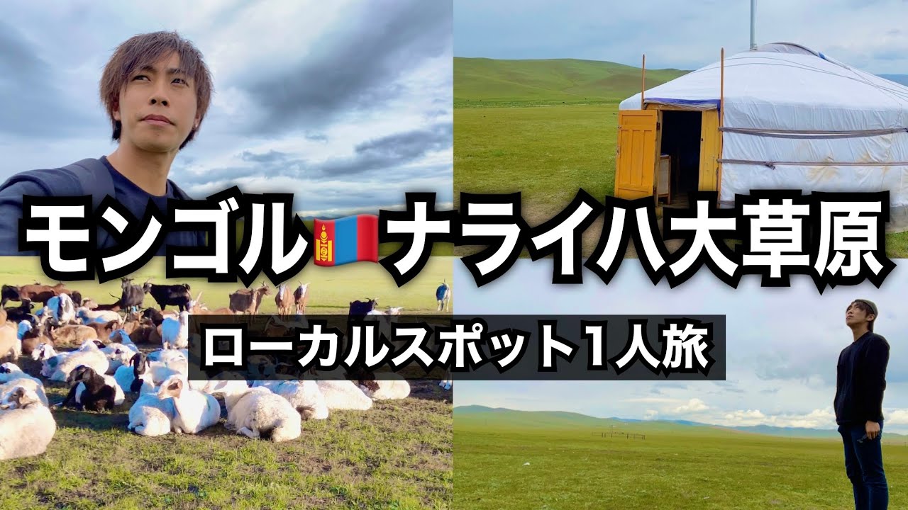 【モンゴル】🇲🇳ナライハの草原ってどんな場所？遊牧民のゲルで一泊！