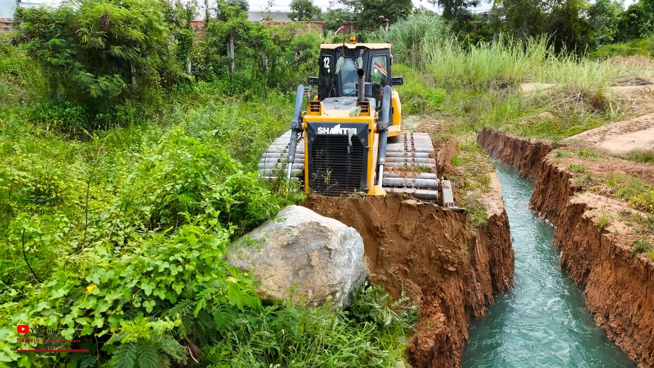 Damn! it's Skills Start Tree Forest​ Clears Land With Dozer Shantui C2 Crush​​ Forest Clean Machine