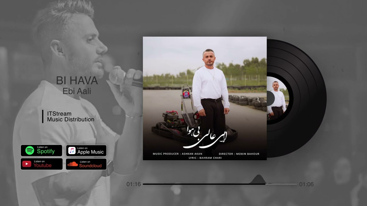 Ebi Aali - Bi Hava