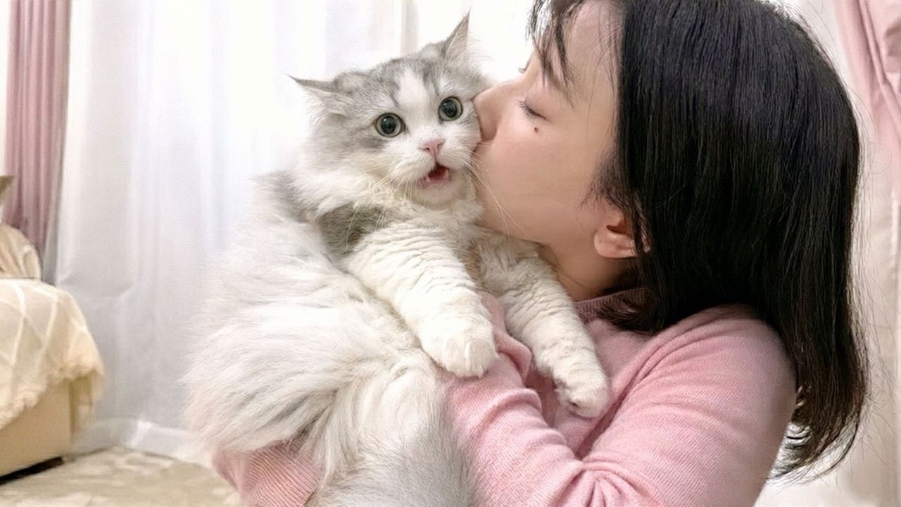 生まれて初めてママに吸われた子猫がこうなった…w