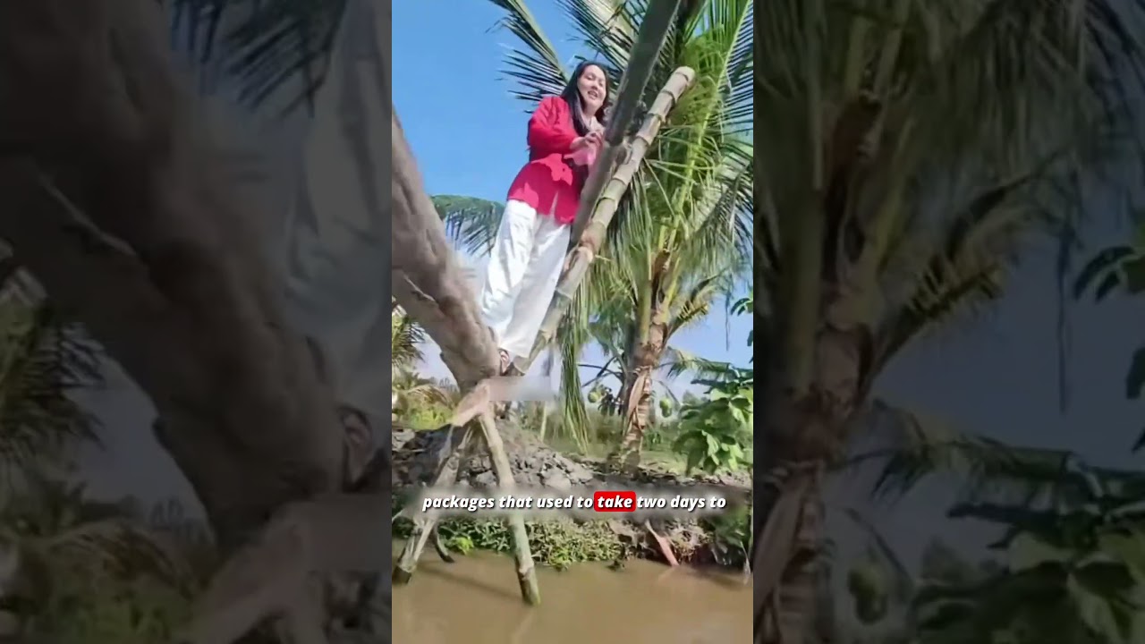 In Vietnam, Delivery Comes by Speedboat 🚤📦