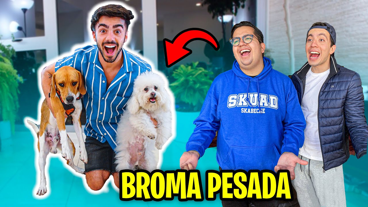 LE ROBO LOS PERROS A MIS MEJORES AMIGOS! *venganza*