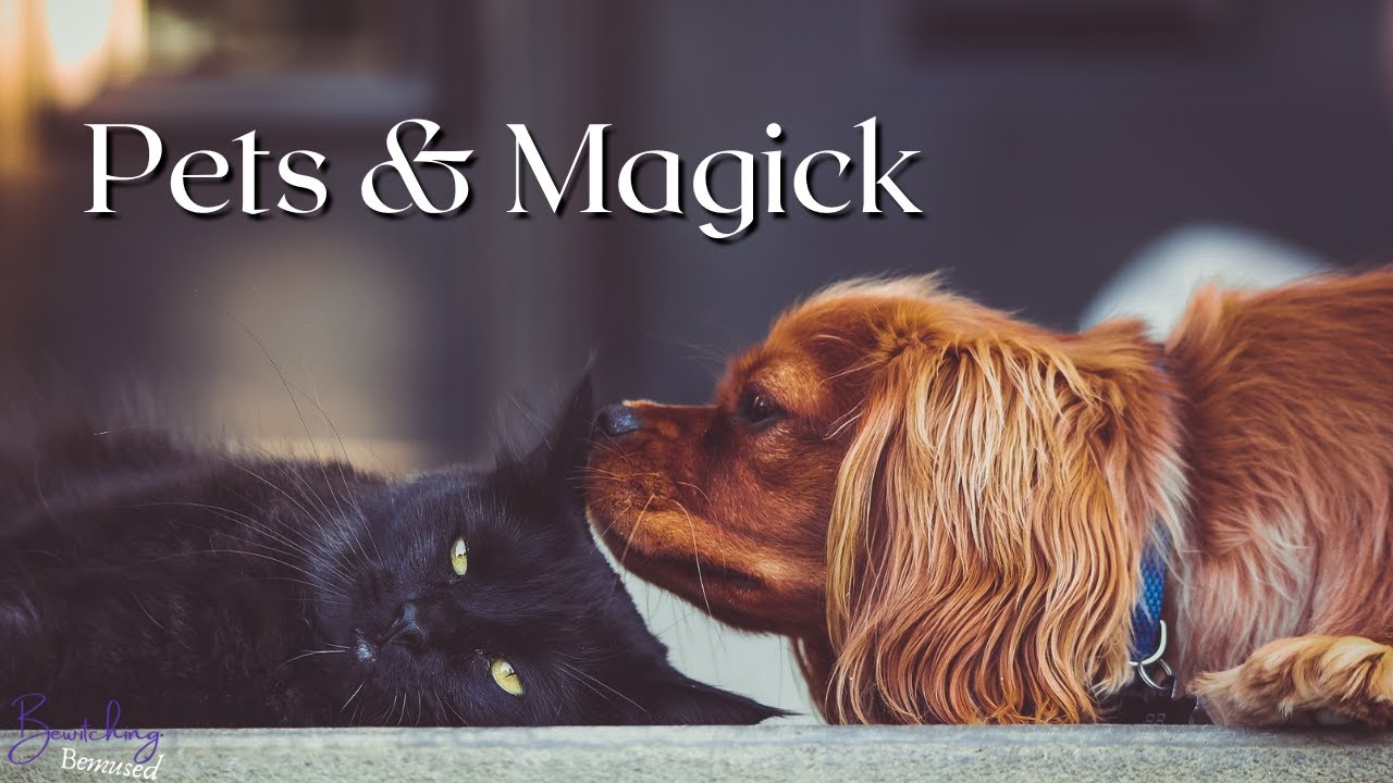 Pets & Magick - Involving Your Pets in Your Witchcraft