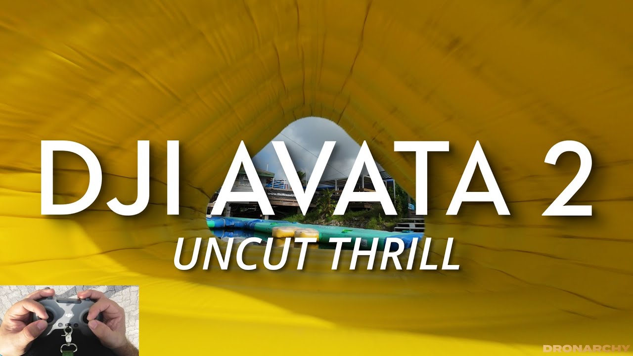 DJI Avata 2 Thrill Seeker | Dronarchy FPV