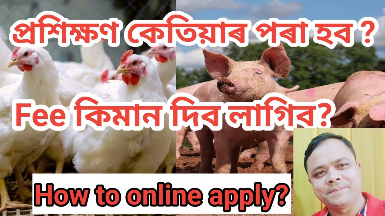 How to online apply  | poultry and piggary training | pig farm in Assam |poultry farm