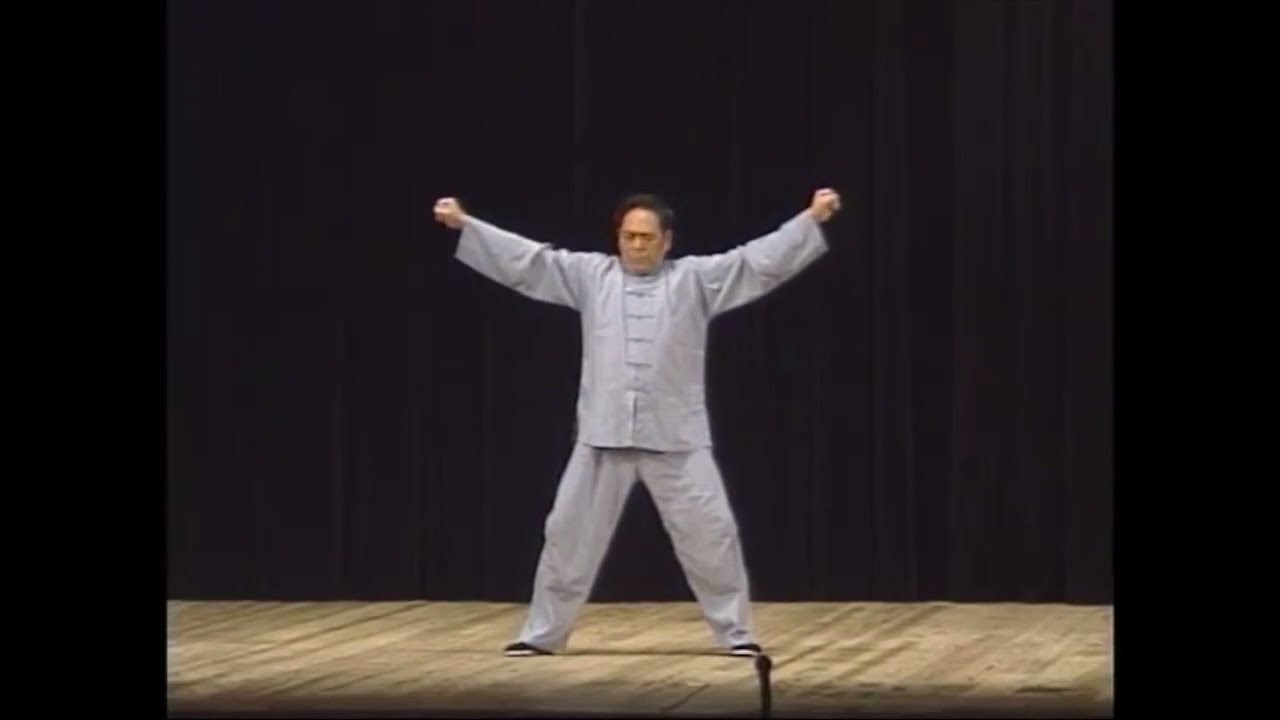 冯志强王凤鸣92年访日陈式太极拳表演最全收藏 Feng Zhiqiang Wang Fengming Chen Style Tai Chi performance during 1992 visit