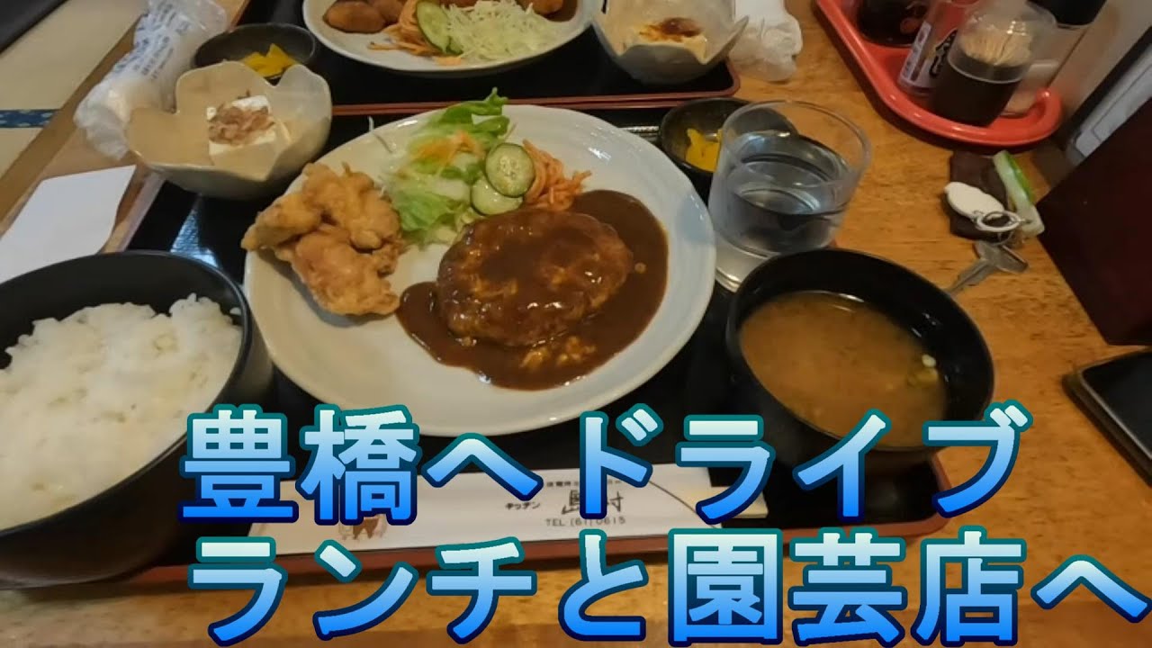 豊橋へドライブ、ランチと園芸店へ