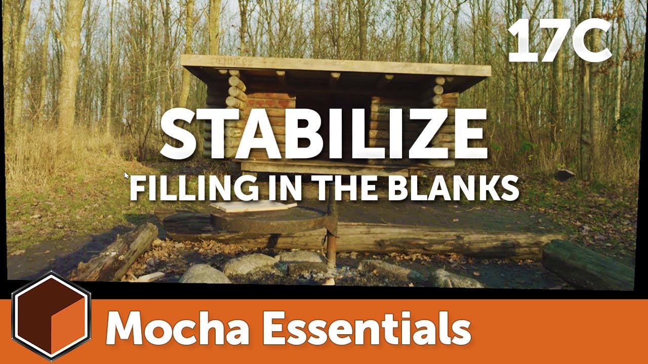 17c Stabilize Module - Borders [Mocha Essentials]