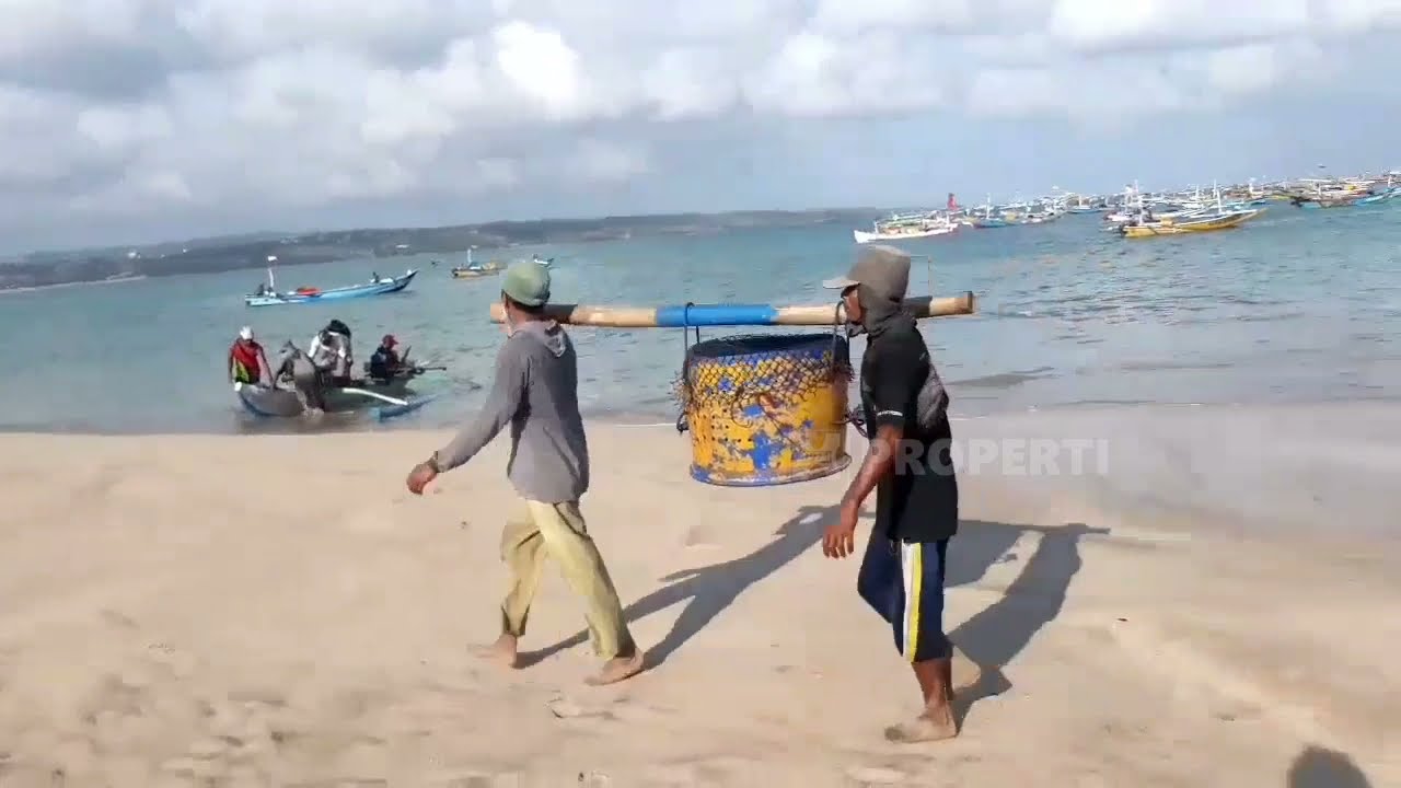 BEGINILAH AKTIVITAS NELAYAN DI PANTAI KEDONGANAN BALI DI PAGI HARI
