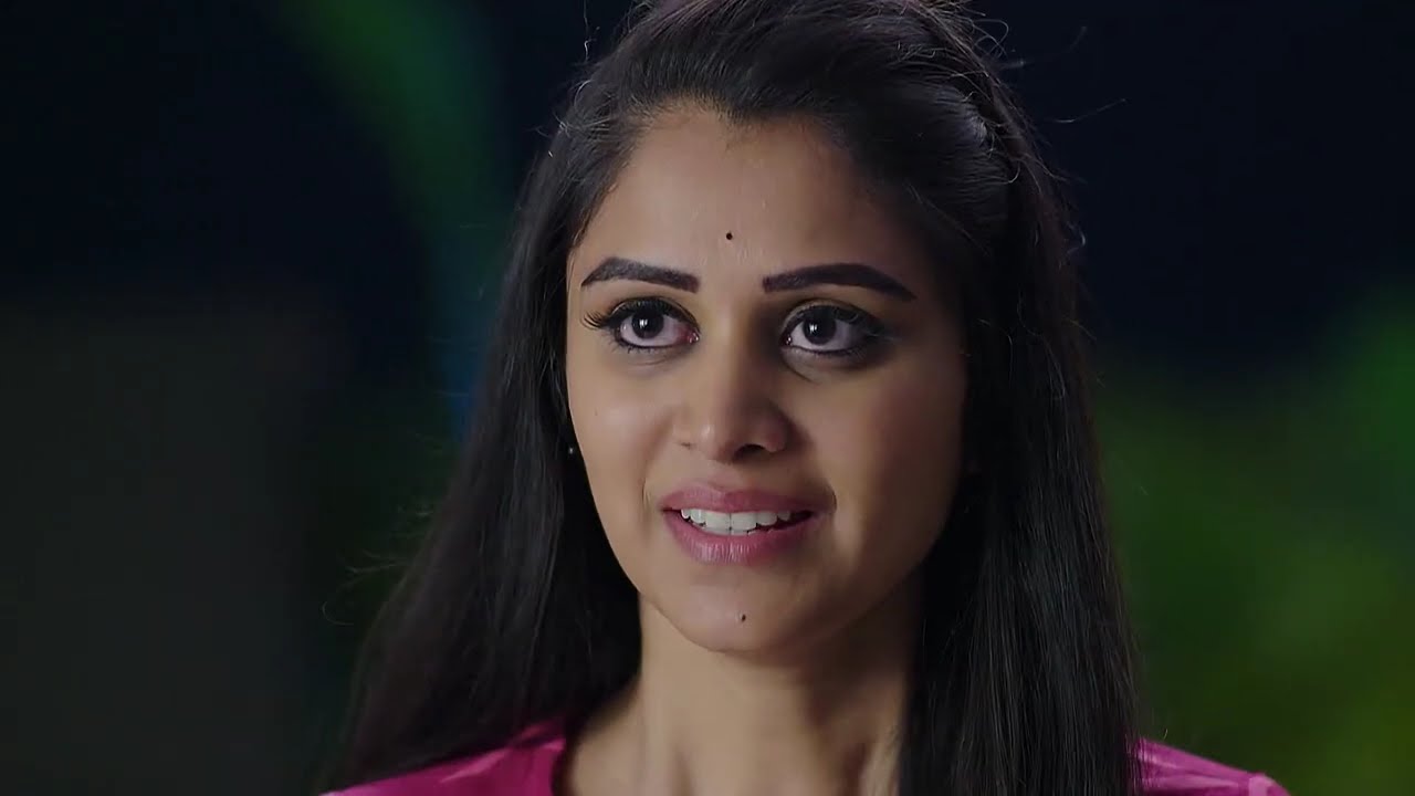 Naag Bhairavi - Full Ep - 50 - Nagarjuna, Bhairavi, Nagulu - And TV