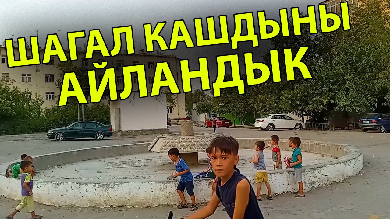 Turkmenistan dashoguz şagal kasdyny aylandyk