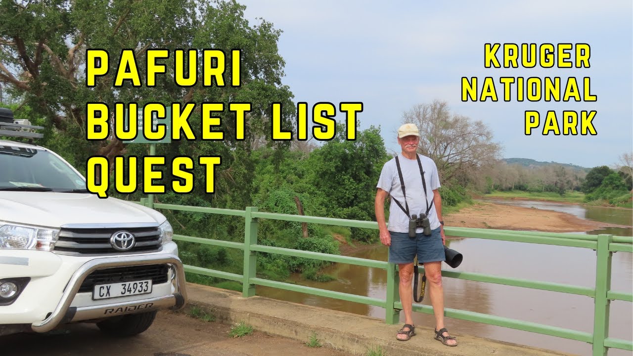 Wild Kruger Moments & A Rare Bird Quest in Pafuri