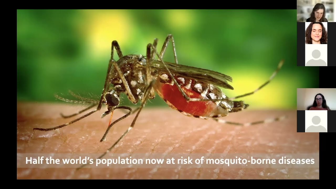 Webinaire REMPART - Rachel LOWE - Global environmental change and infectious disease outbreaks [EN]