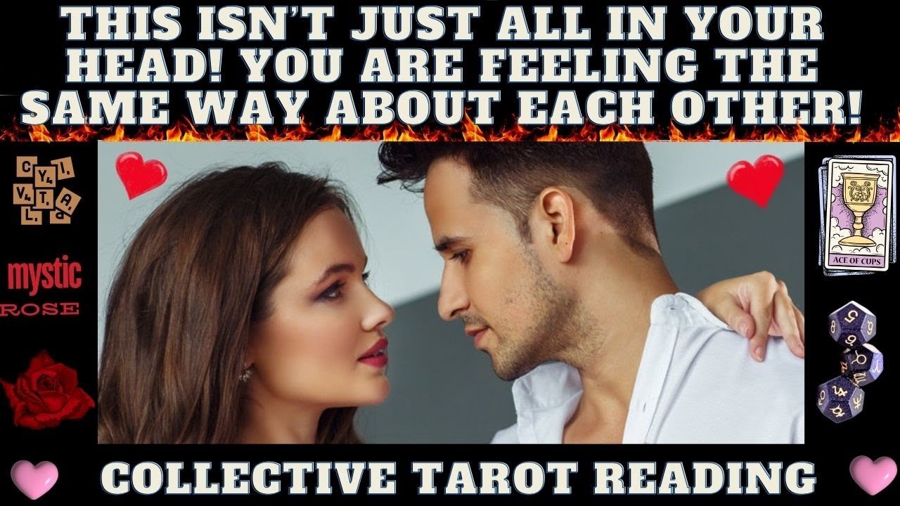 THEY FEEL THE SAME WAY ABOUT YOU AS YOU FEEL ABOUT THEM. IT'S NOT IN YOUR HEAD! (collective tarot)