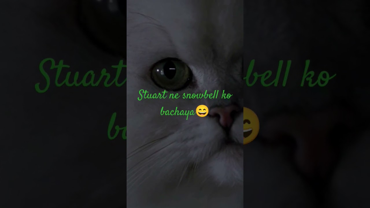 smoky bhai se stuart ne snowbell ko bachaya