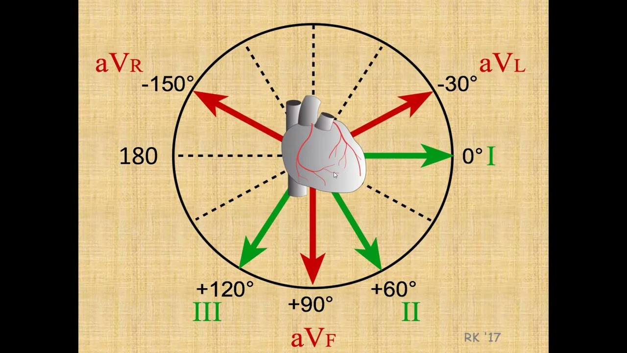 ECG Axis