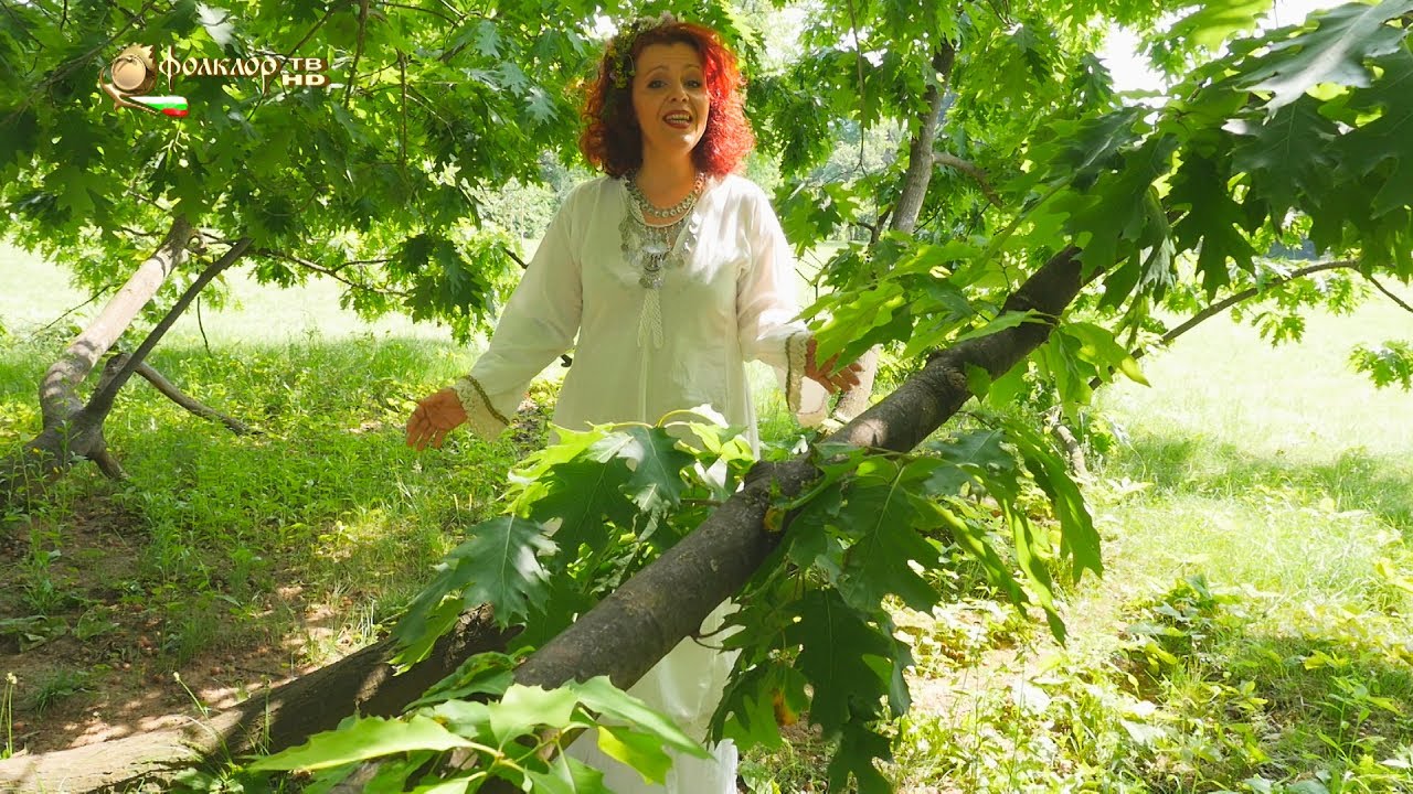 Евелина Христова - Те кажуват, Найде