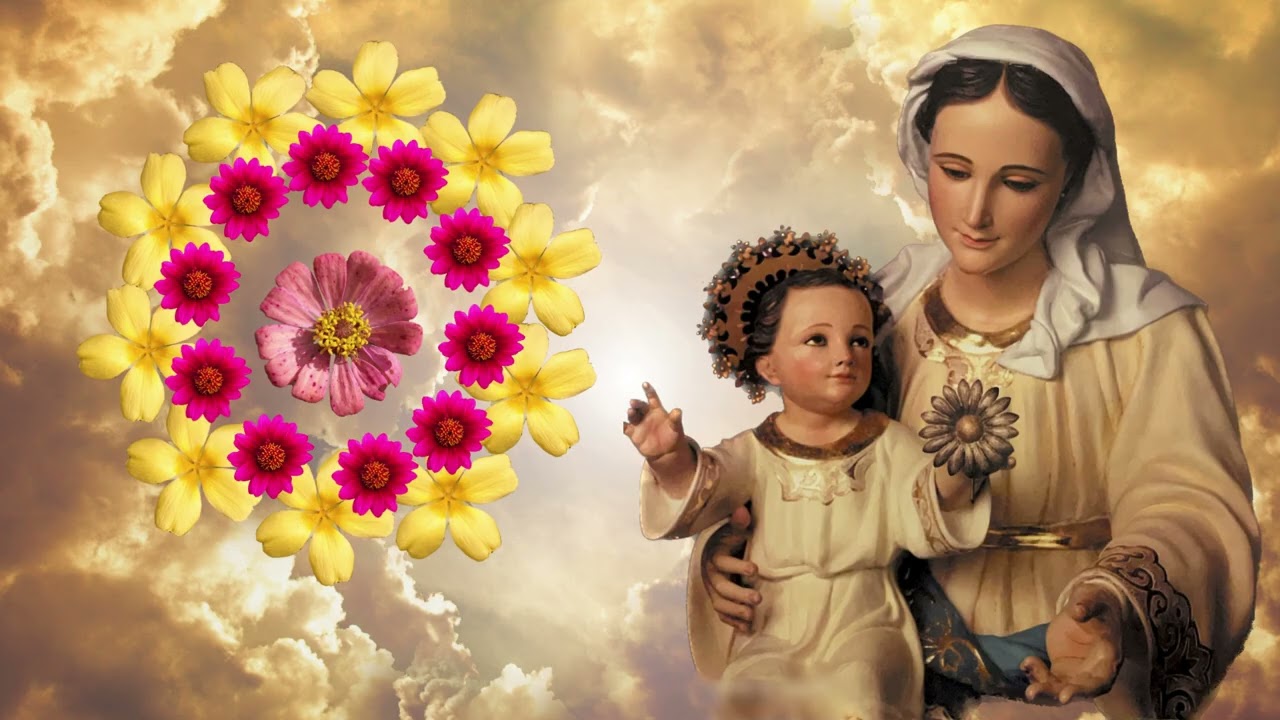 🌹Santo Rosario de Hoy🌹Jueves 12 de Febrero de 2026 #SantoRosario #RosarioDeHoy #FeCatolica #viral