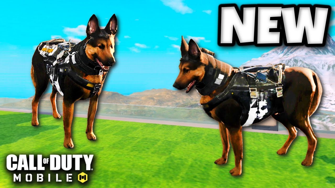 *NEW* RILEY DOGS in BATTLE ROYALE!! 😍 | COD MOBILE | SOLO VS SQUADS