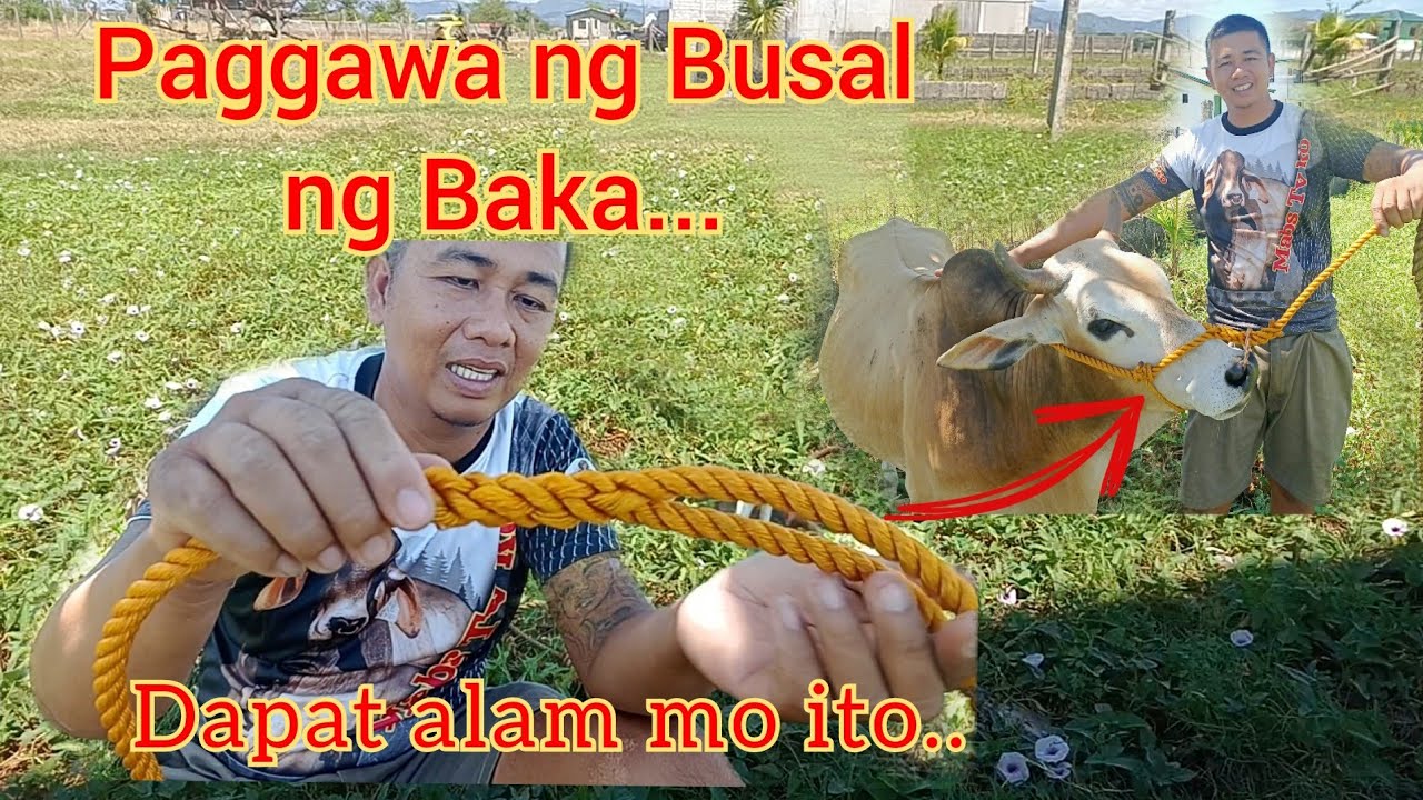 EP:53 Paggawa ng Busal ng Alagang Baka#buhayprobinsya #buhaybukid #wild #cattlefarm #tutorial #cow