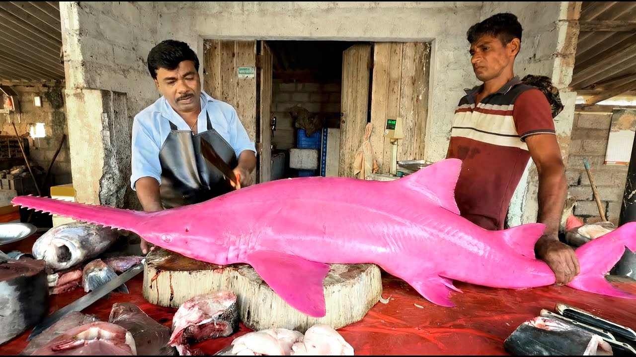 😱 You Will Never See This! Giant Fish Cutting in Hidden Village Market