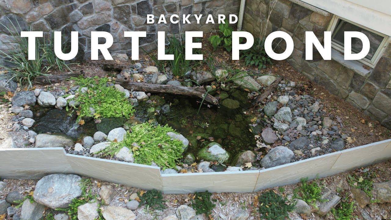 Building the Ultimate Turtle Pond in New Jersey!