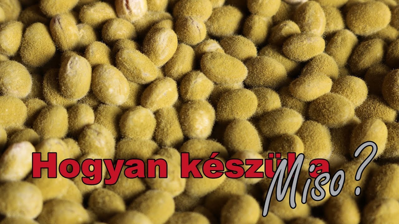 Hogyan készül a miso?