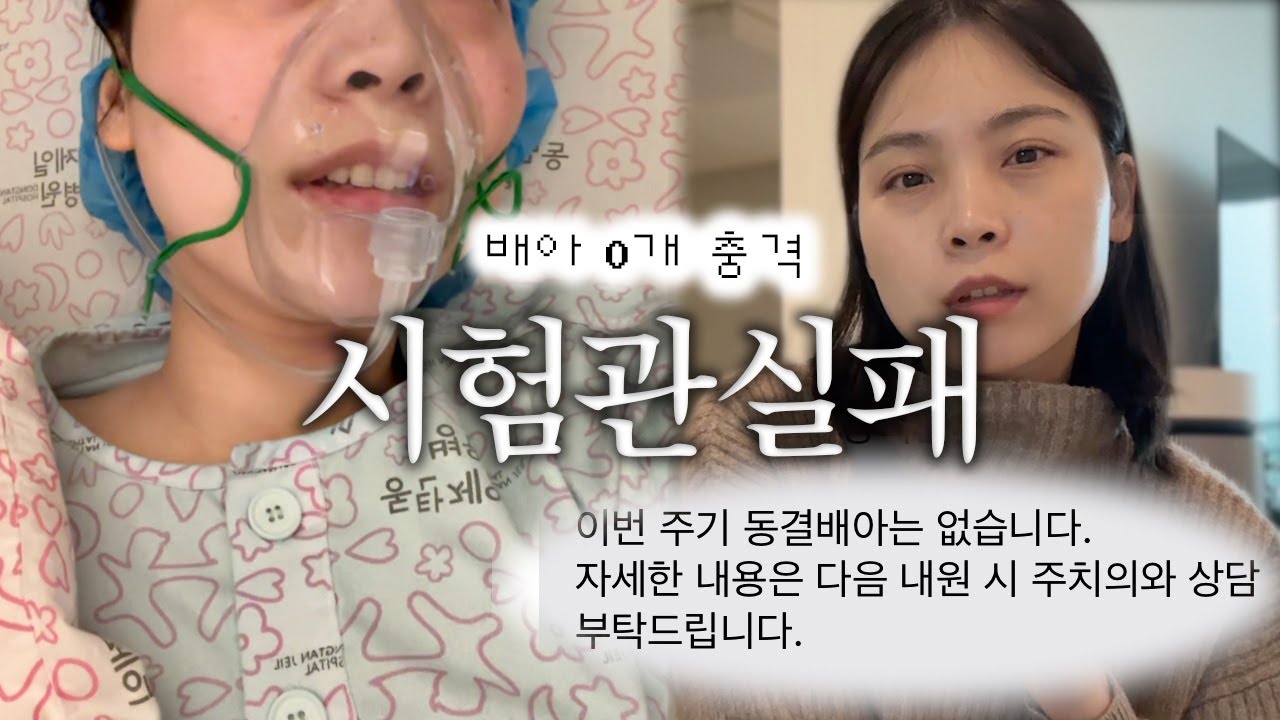 난자채취 했는데 배아가 0개?! 눈물의 시험관 실패 브이로그
