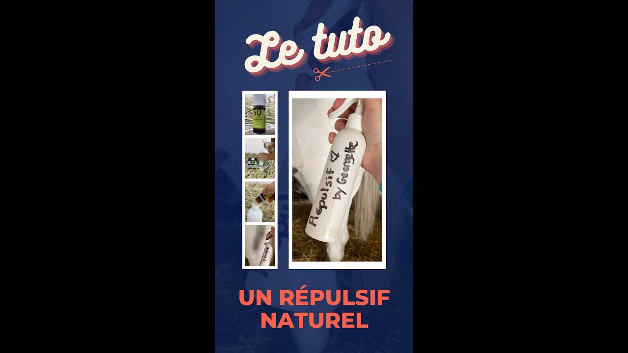 TUTO 🌱 Fais ton anti-mouche maison ! 🪰