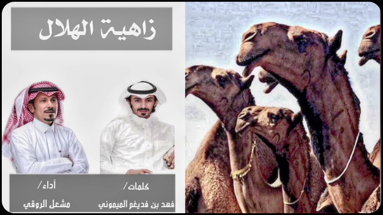 شيلة الموسم 2022 (زاهية الهلال) الشاعر فهد عوض الميموني اداء مشعل الروقي