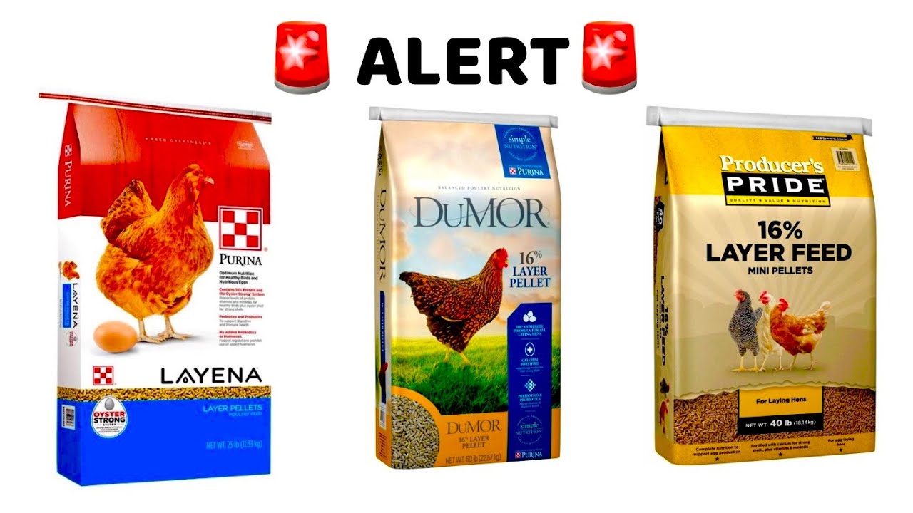 Корм для кур-несушек ALERT