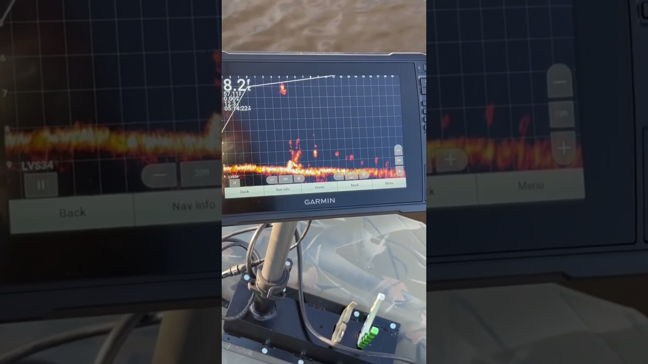 Видеозапись Garmin в реальном времени ￼