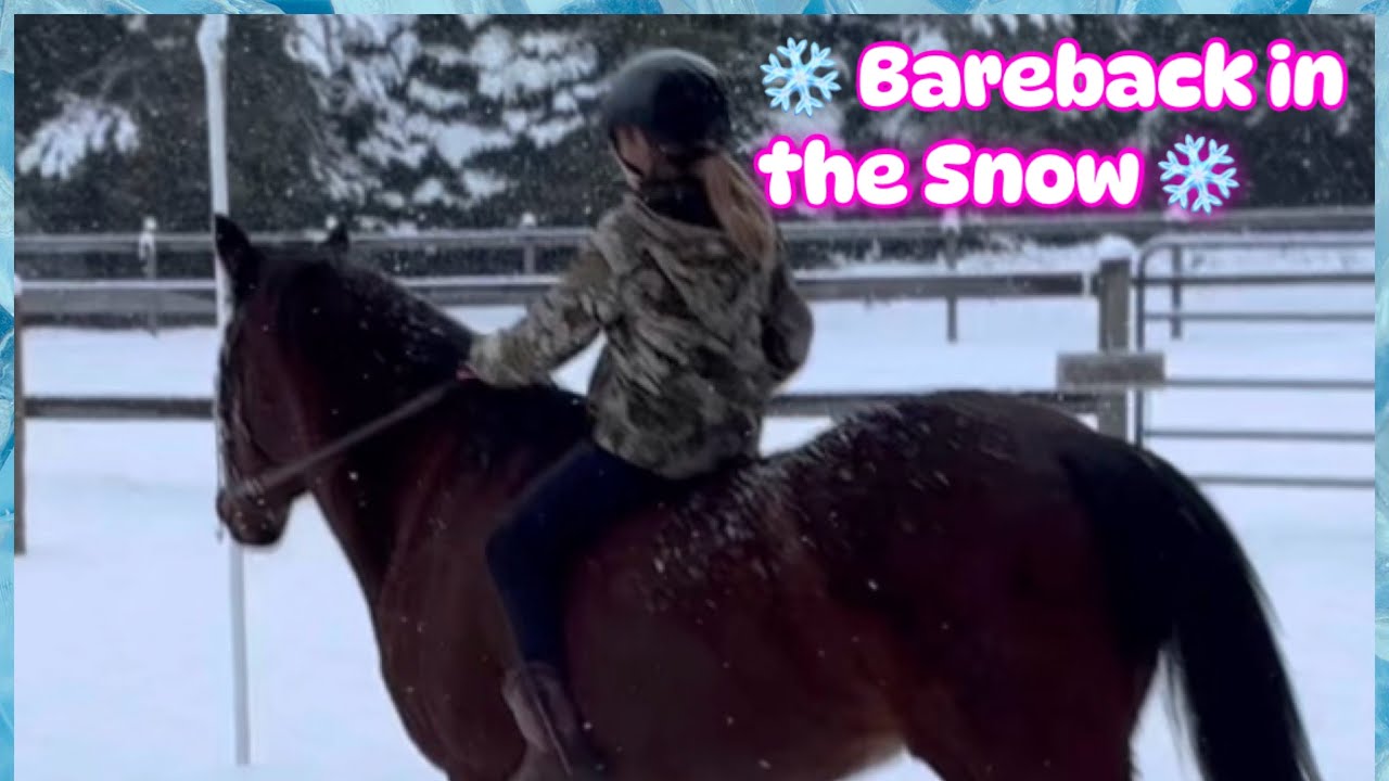 Bareback Trail Ride in the Snow ❄️ | A Perfect Winter Day with Reno