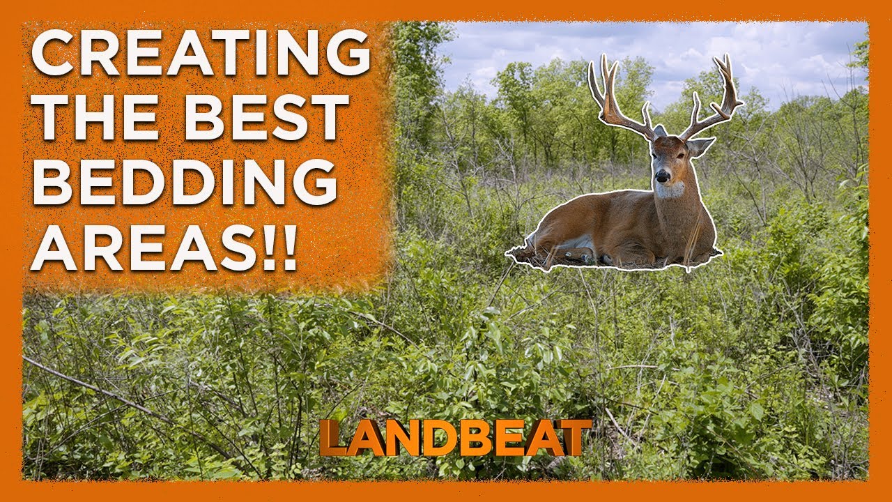 Create The PERFECT Bedding Area For Deer!