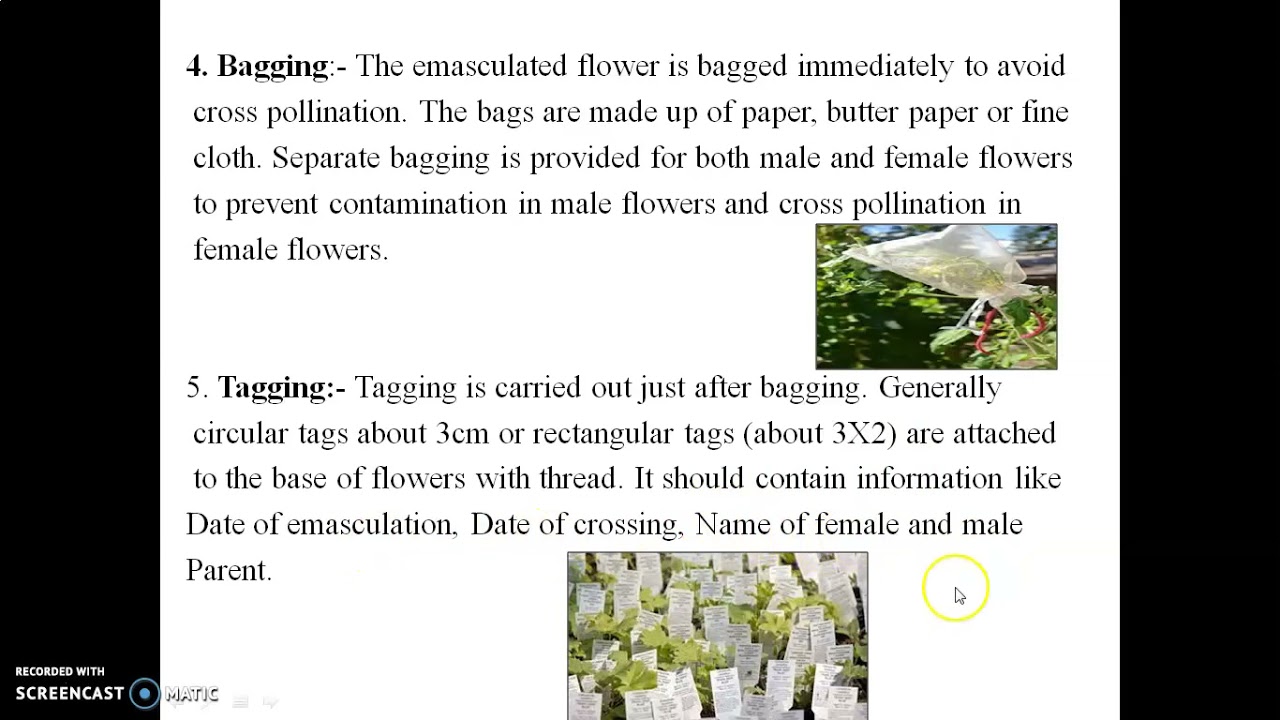 Hybridization in Plants