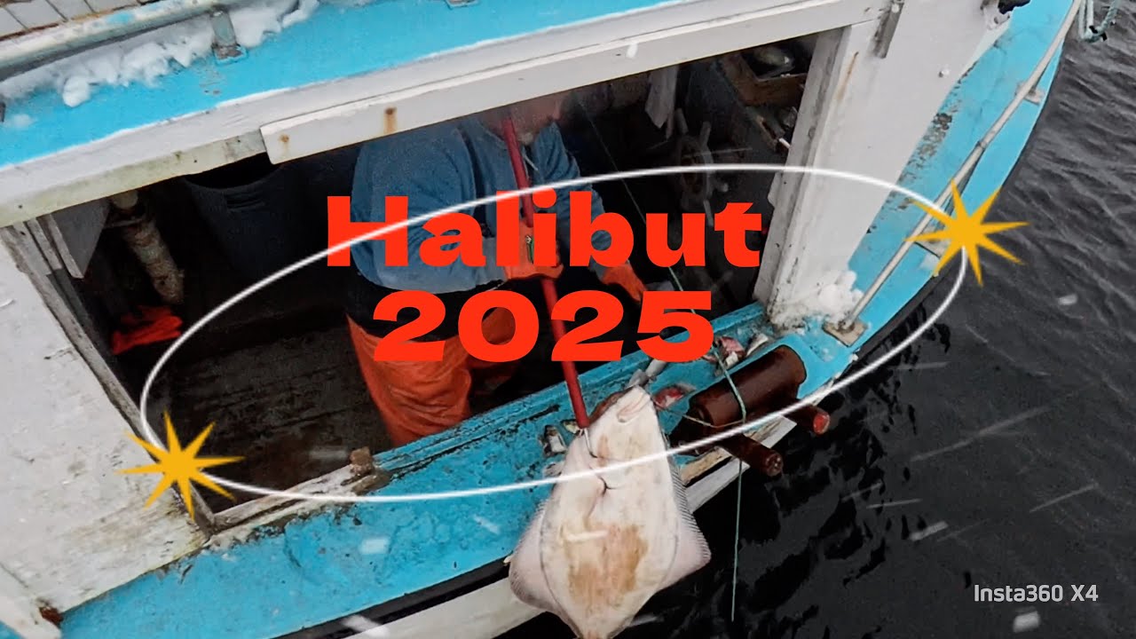 Палтус 2025 Эпизод 1