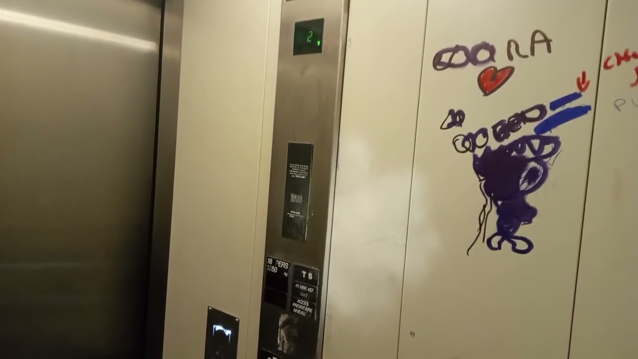 Magnifique monte charge Otis europa d'origine Marseille France 