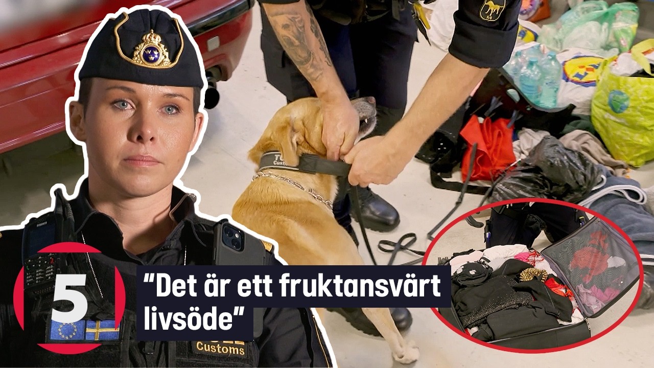 Gränsbevakarna Sverige | Tullen stoppar en hallick: “Fruktansvärt