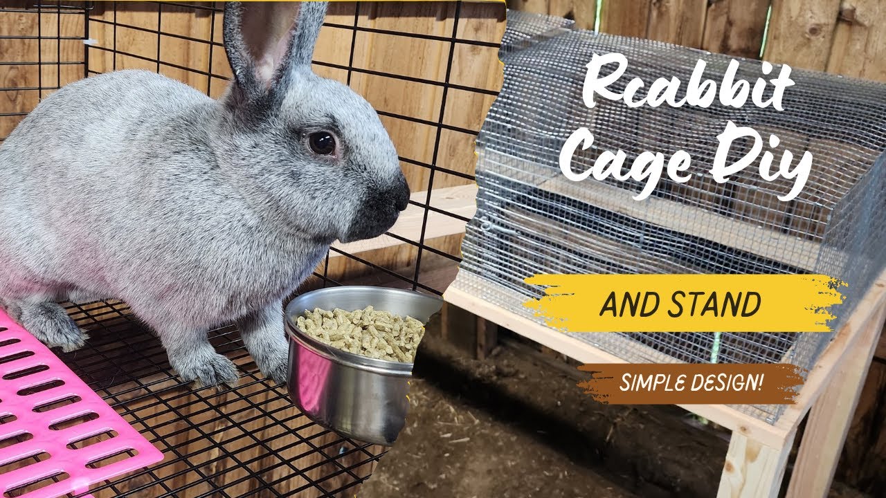 DIY Rabbit Cage and Stand! #diy #rabbitry