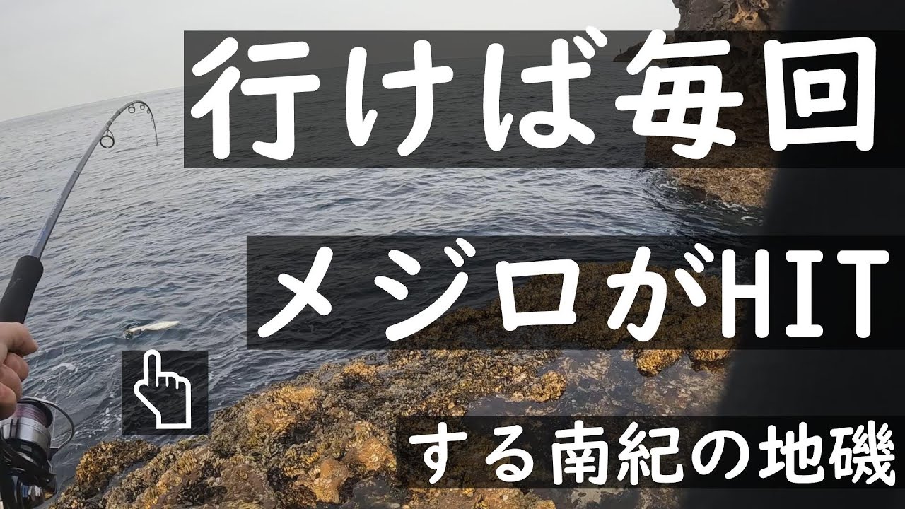 ショアジギング【南紀～マリーナシティー】ここに行けばメジロかブリがHITすると【巷の噂は】本当だった!!