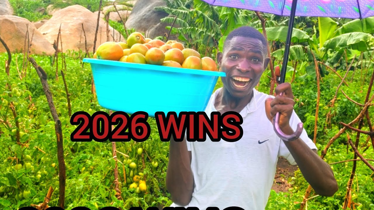 HOW TO START SUCCESSFUL FARM IN 2026