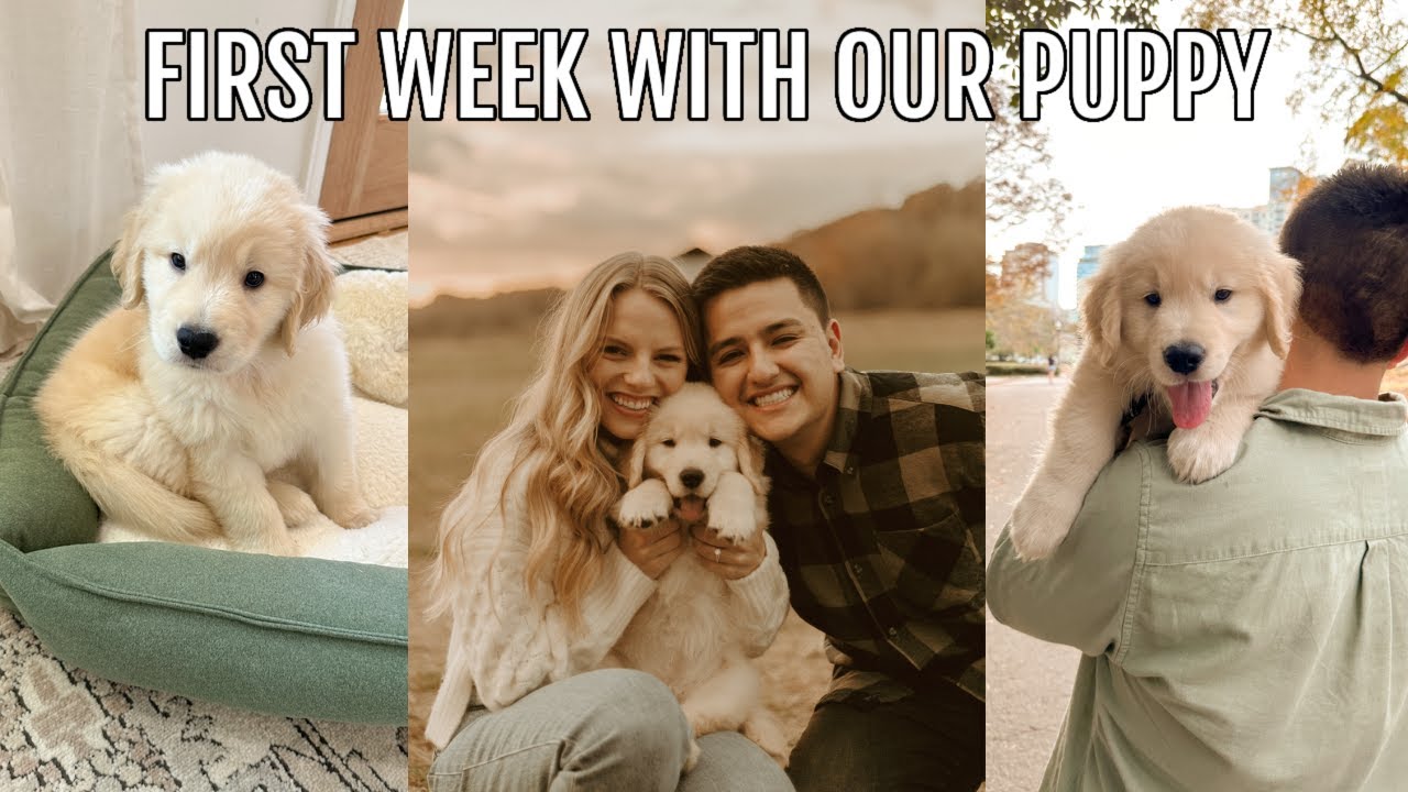 FIRST WEEK WITH MY PUPPY! realistic & super cute!!