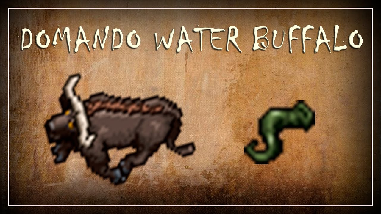 [TIBIA] - MONTARIA: WATER BUFFALO (COMPLETA)